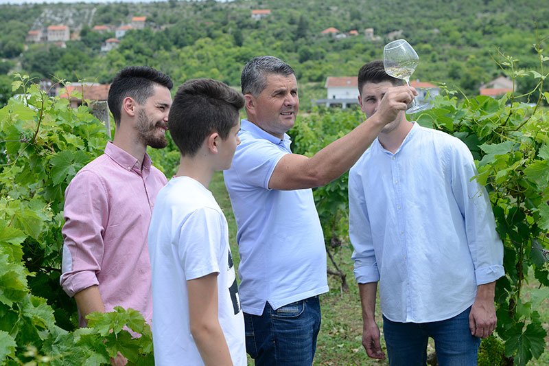 Josip Birkic and Sons