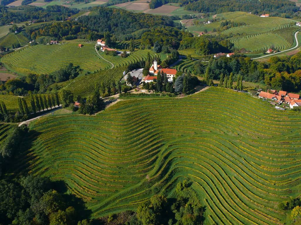 Puklavec Winery
